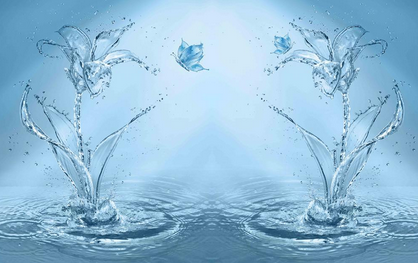 �_��(ji��)�ܿՉ��C